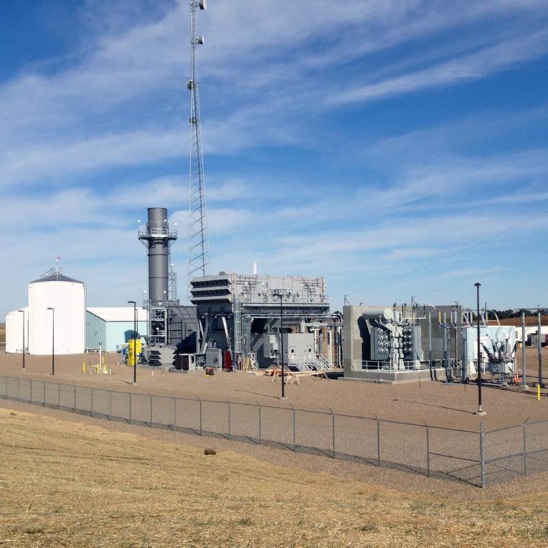 Pioneer Generation Station